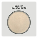 BORNSUN Bacillus BC02